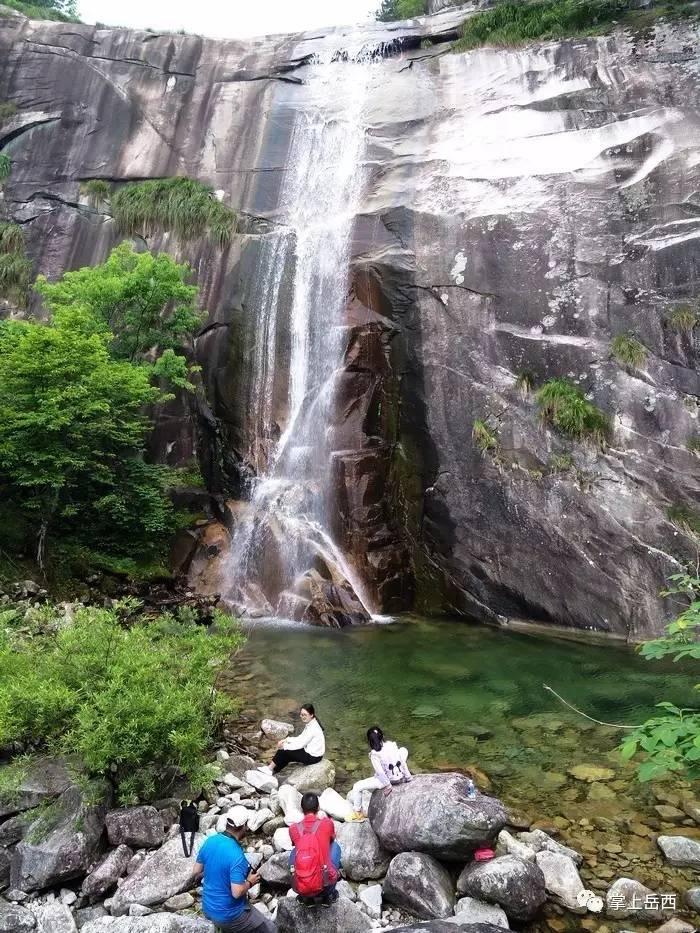 逃离橡子树种植地